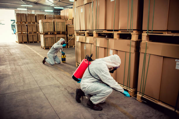 Best Cockroach Control Services  in Las Palmas Ii, TX