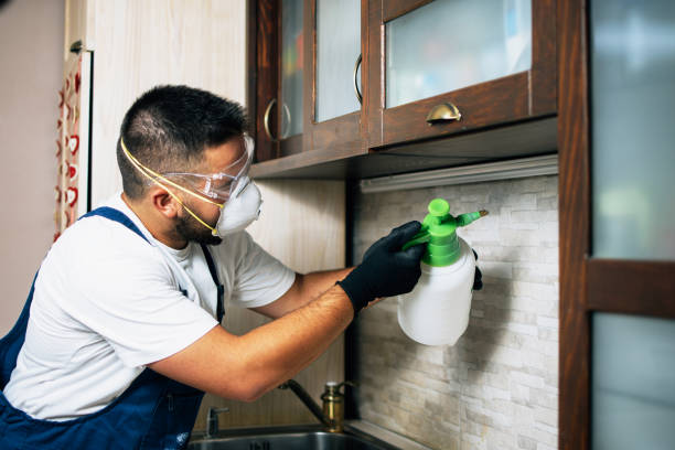 Best Commercial Pest Control Services  in Las Palmas Ii, TX