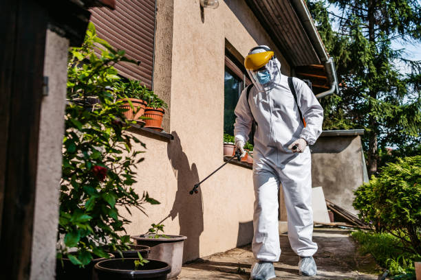 Best Bed Bug Extermination  in Las Palmas Ii, TX