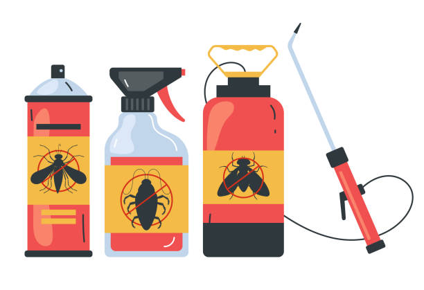 Best Wasp Removal Services  in Las Palmas Ii, TX