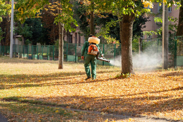 Best Mosquito Control Services  in Las Palmas Ii, TX
