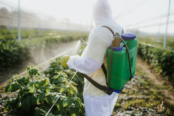  Las Palmas Ii, TX Pest Control Pros